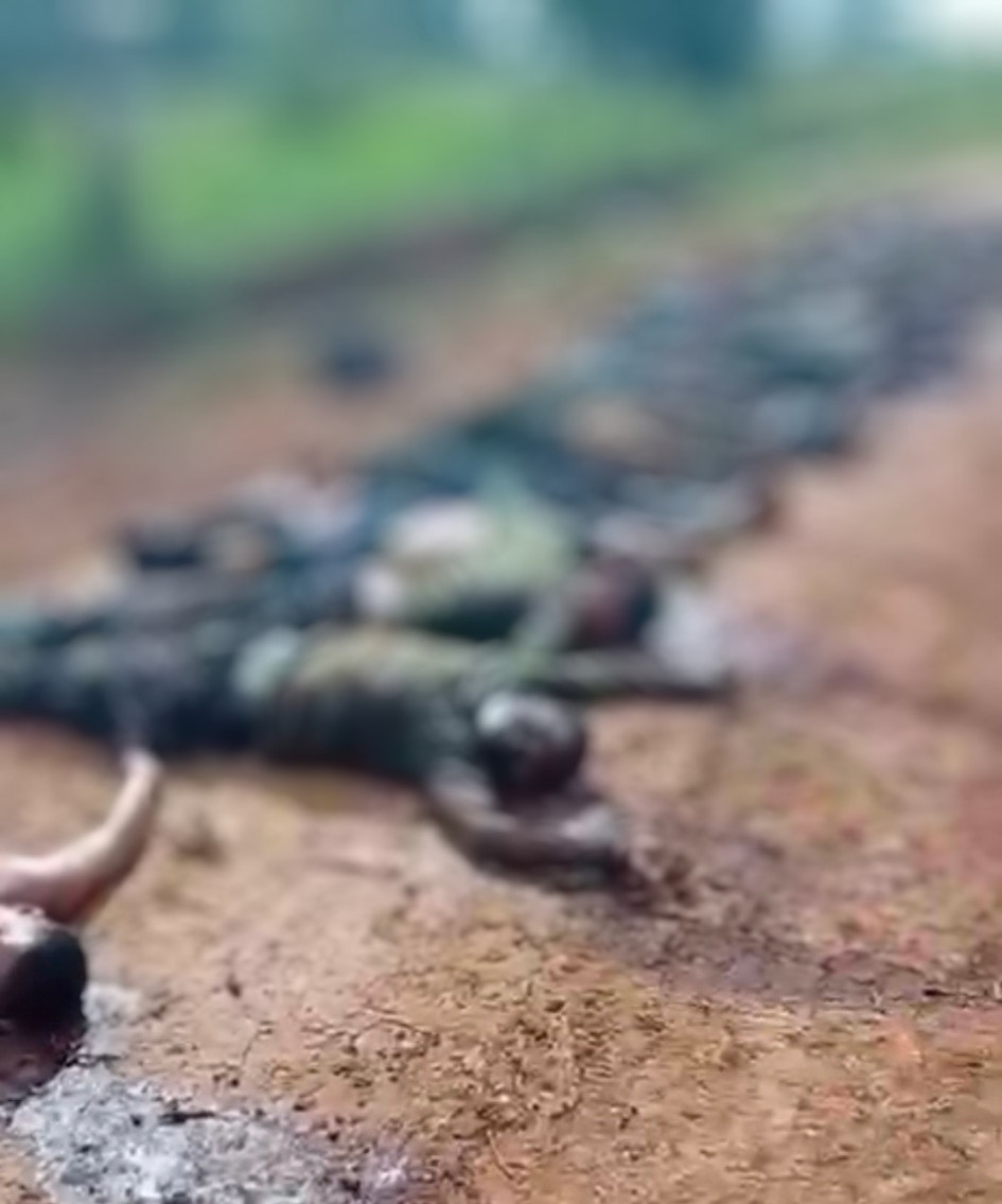 REPRODUCCIÓN | LA PATRIA Los cadáveres fueron hallados en una vía rural del municipio El Retorno, de Guaviare.