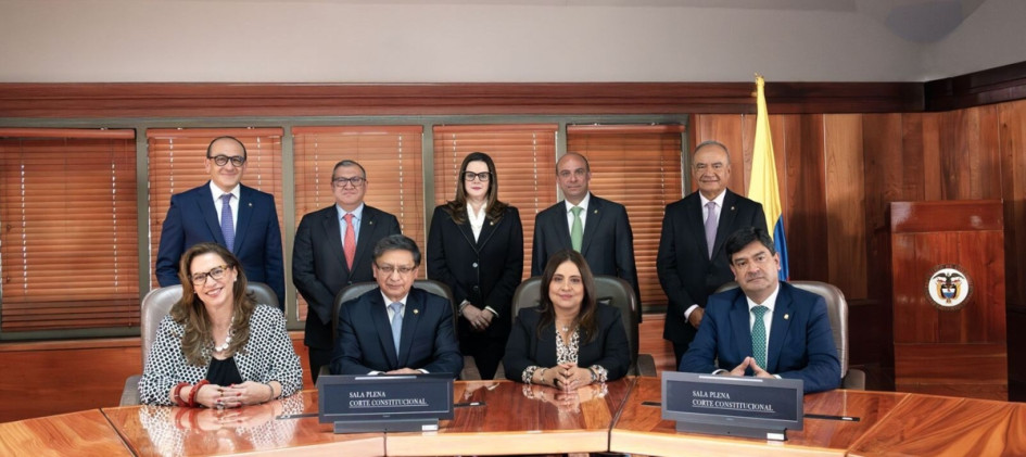Sala plena de la Corte Constitucional.