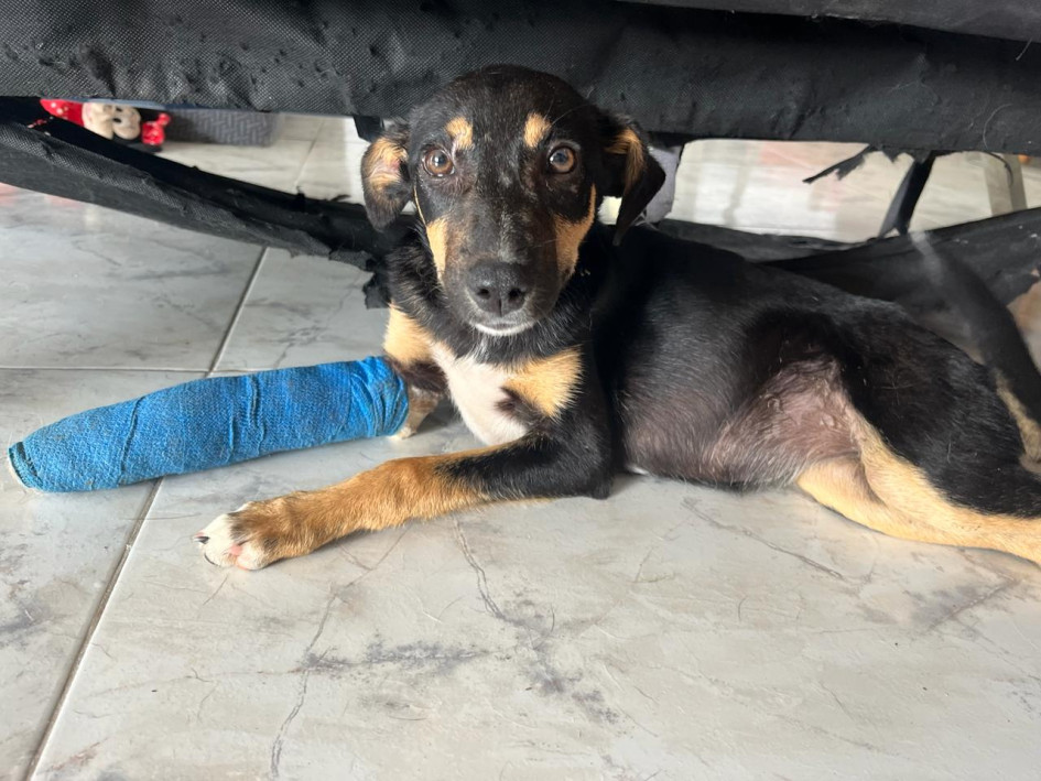 Kiara en su recuperación. 