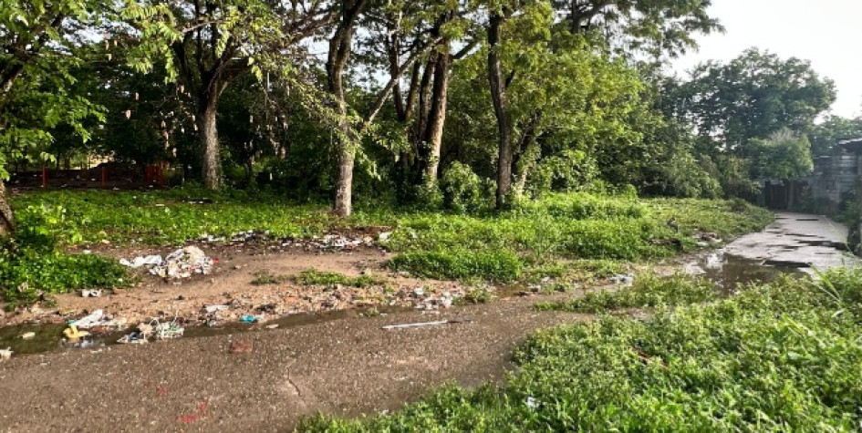 Sector de los hechos