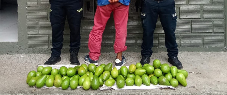 Los hechos se registraron cuando mediante llamada telefónica la comunidad informó que un sujeto salía de un predio de este sector portando un bulto.