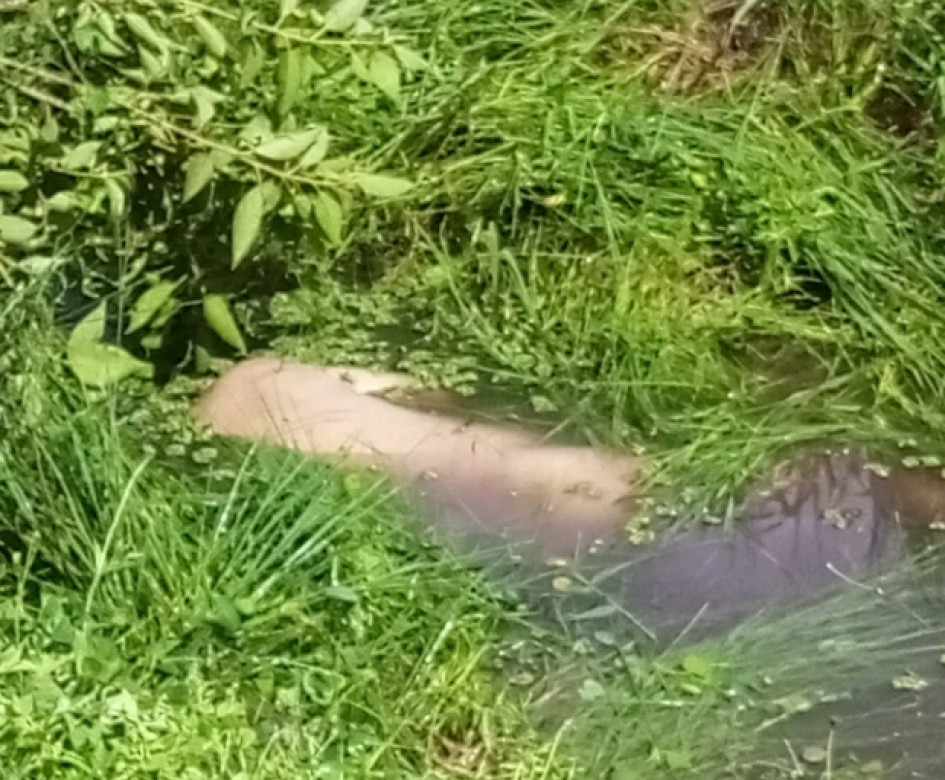 Hasta el momento no se han entregado detalles adicionales sobre las circunstancias en las que se produjo el fallecimiento. El caso continúa en investigación.