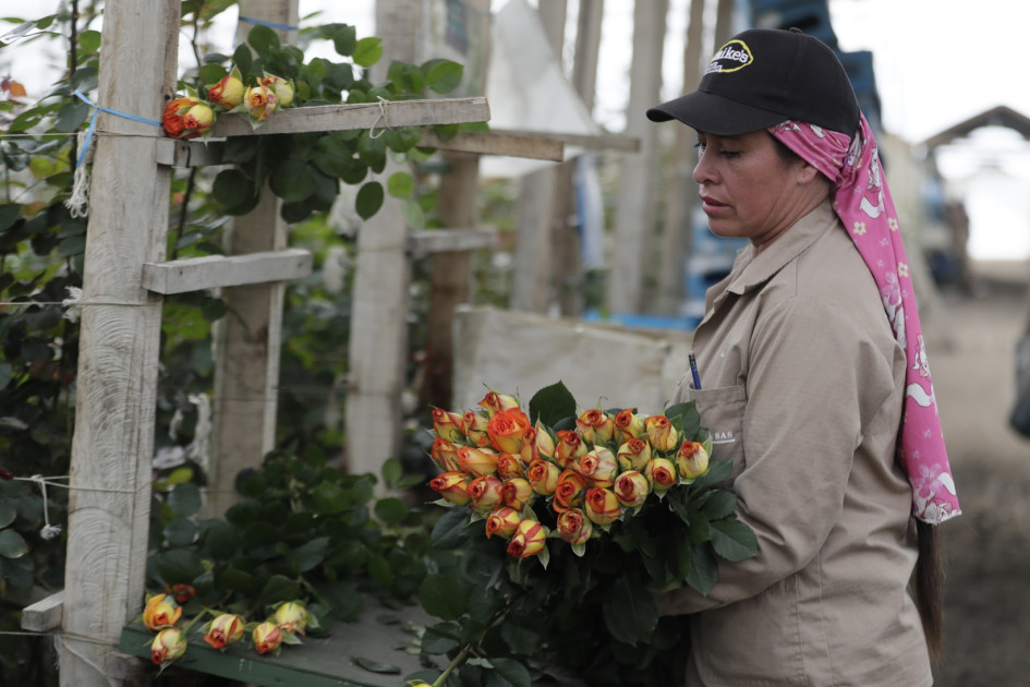 Las mujeres hacen posible San Valentín desde Colombia