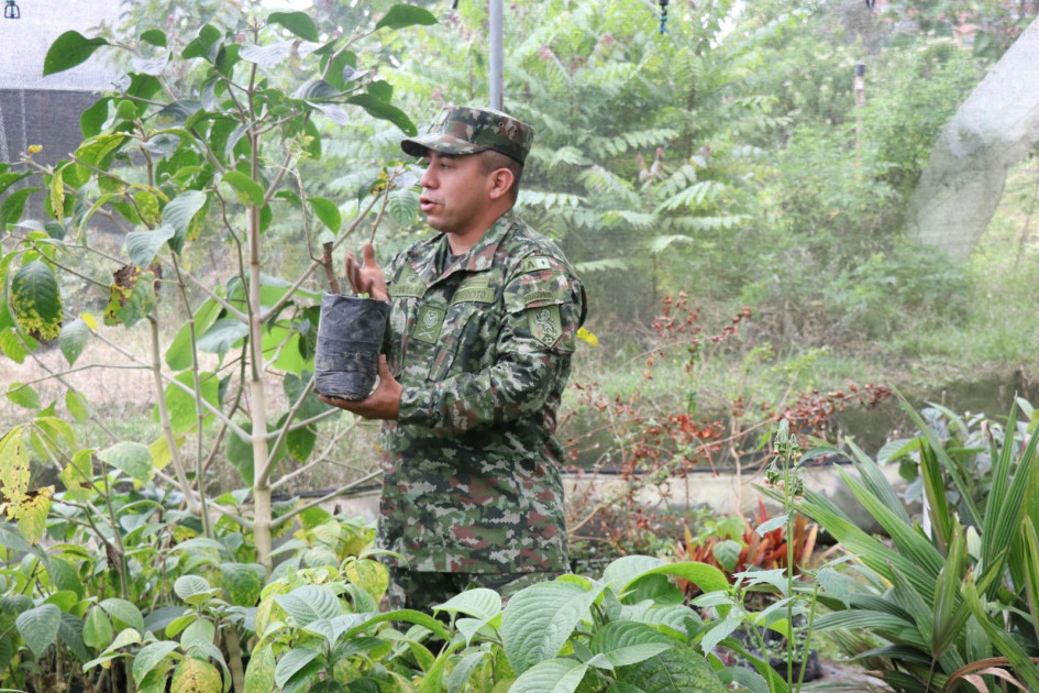 El Batallón Ayacucho sembró 48 mil árboles en Caldas y en este 2026 entrega plántulas gratis para jornadas de compensación ambiental.