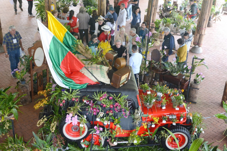 XX Exposición Nacional de Orquídeas: Así eligieron las mejores de la edición