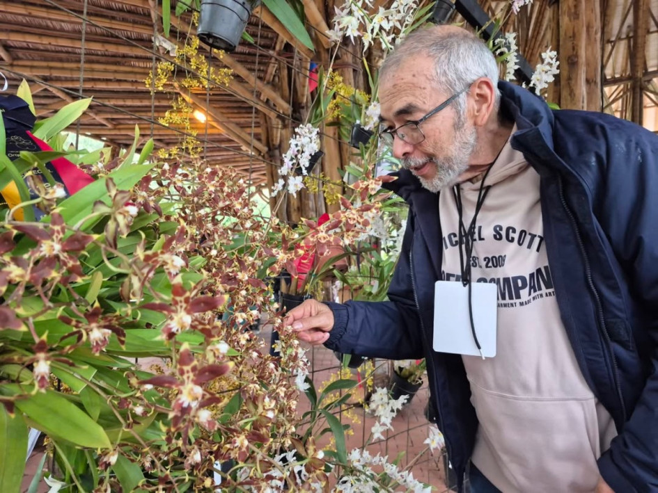 La XX Exposición Nacional de Orquídeas estará hasta el domingo 1 de marzo de 9:00 a.m. a 5:00 p.m. y la entrada tiene un costo de $15 mil.