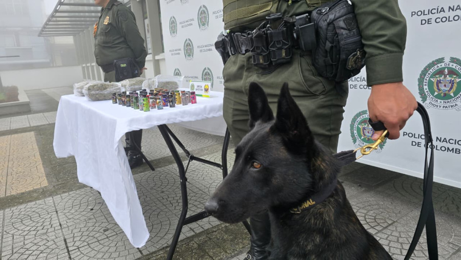 Los caninos descubrieron estupefacientes.
