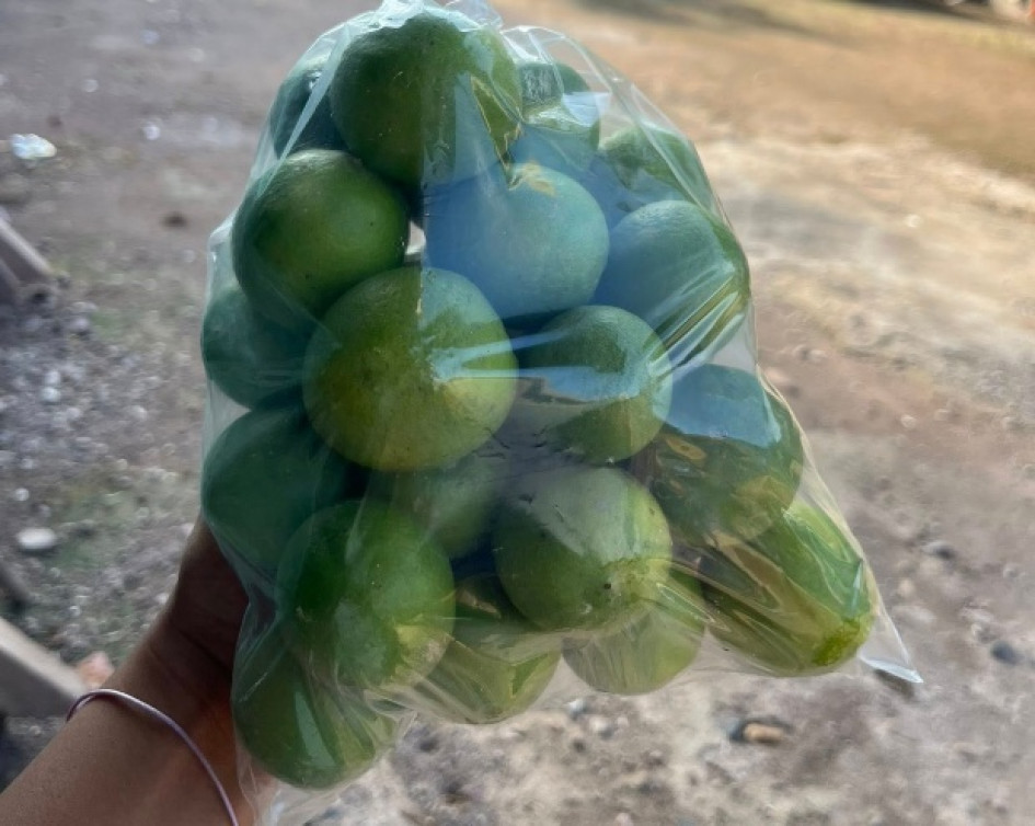 La víctima, empresario de Armenia, entabló contacto con Castro Pérez, quien haciéndose pasar como comercializador de cítricos y frutas le ofreció venderle 6 mil kilos de limones.