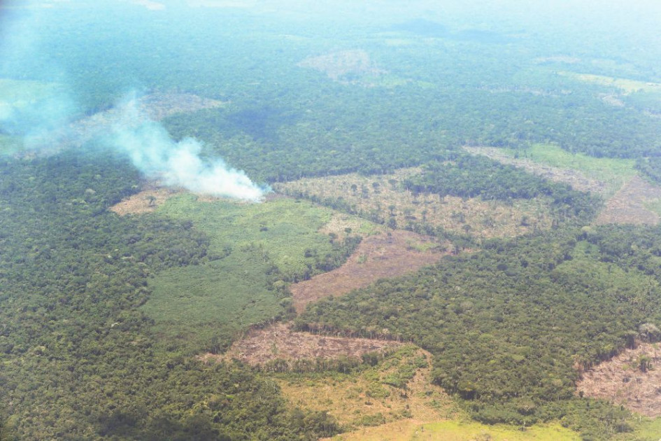 la Amazonía comprende el 43 % del territorio colombiano