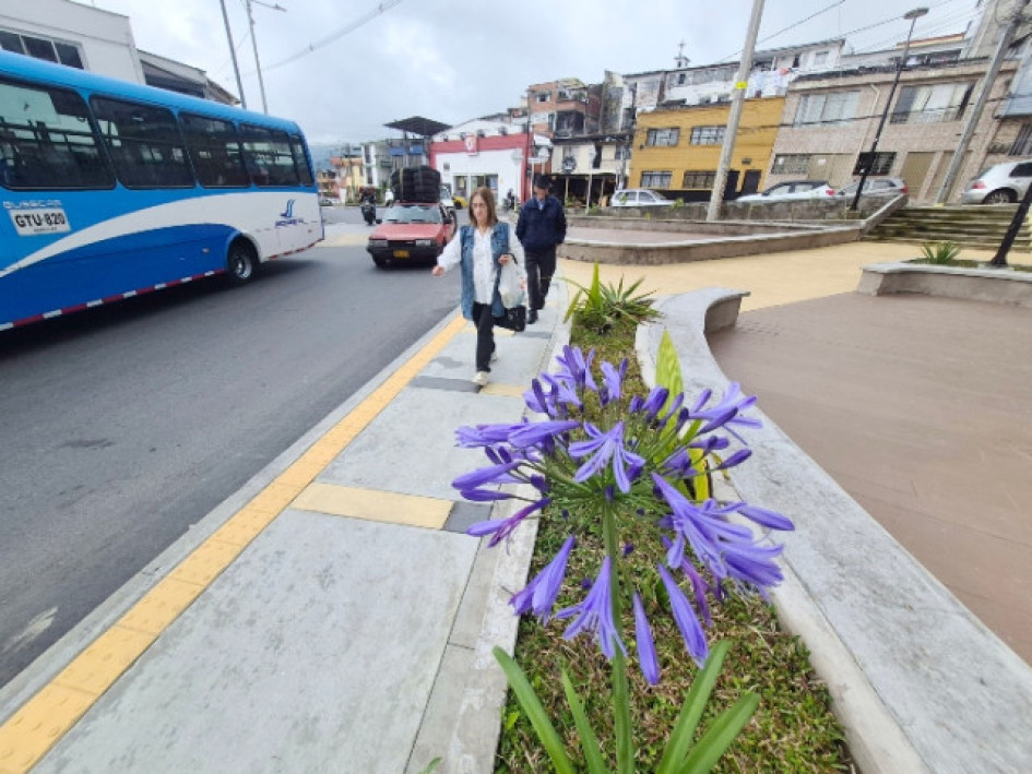 La Corporación Cívica de Caldas (CCC) plantea dudas sobre la tala de cedros en obras del Bulevar de San Jorge