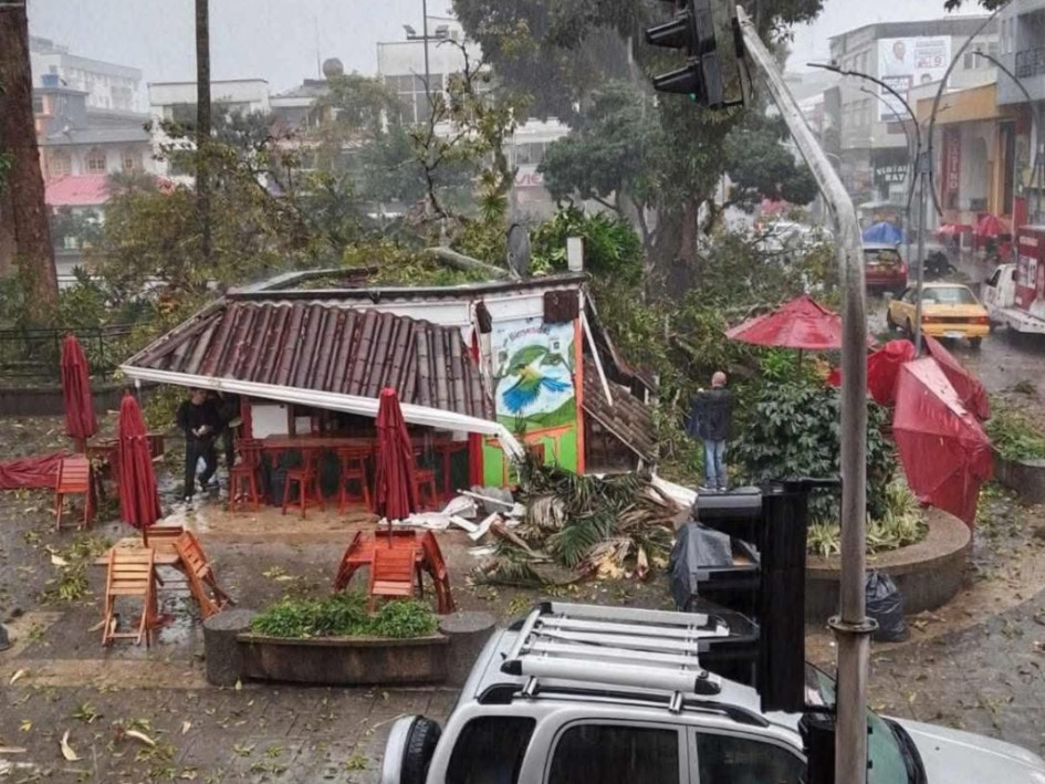 Organismos de socorro retiraron el árbol caído en la Plaza de Bolívar de Calarcá tras el vendaval registrado en la tarde del 17 de febrero.