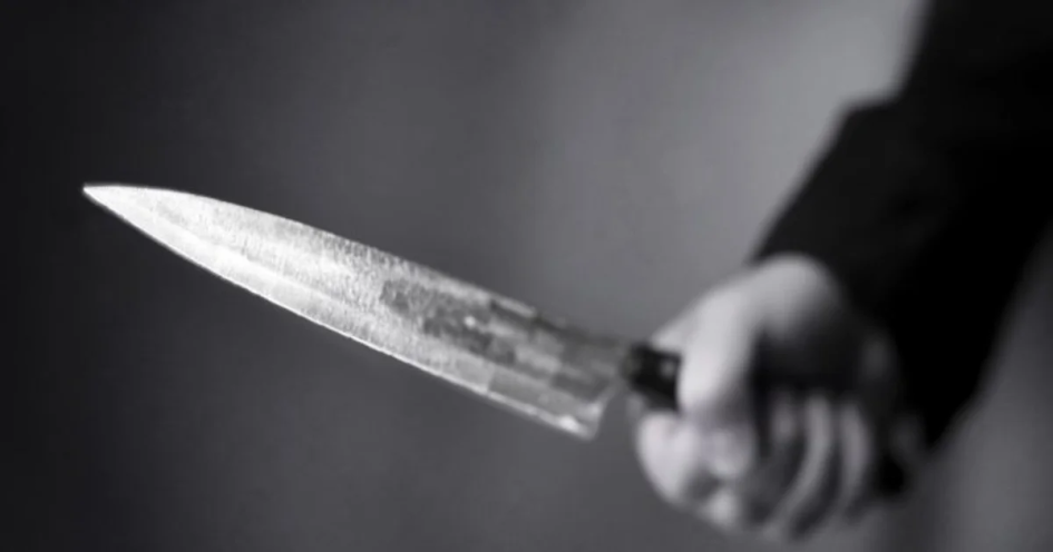 Tello intimidó al administrador de la finca en un intento de hurtar elementos de una ramada.