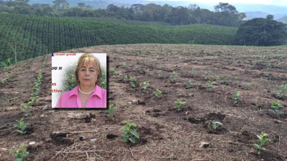 Video: la candidata a la Cámara por Caldas Nohemy Cecilia Constaín Betancur (coalición Centro Democrático - Partido de la U) respalda más mano de obra, recursos y vías para el campo.