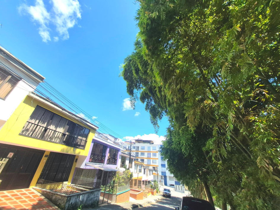 Guadual amenaza casas en el Campín