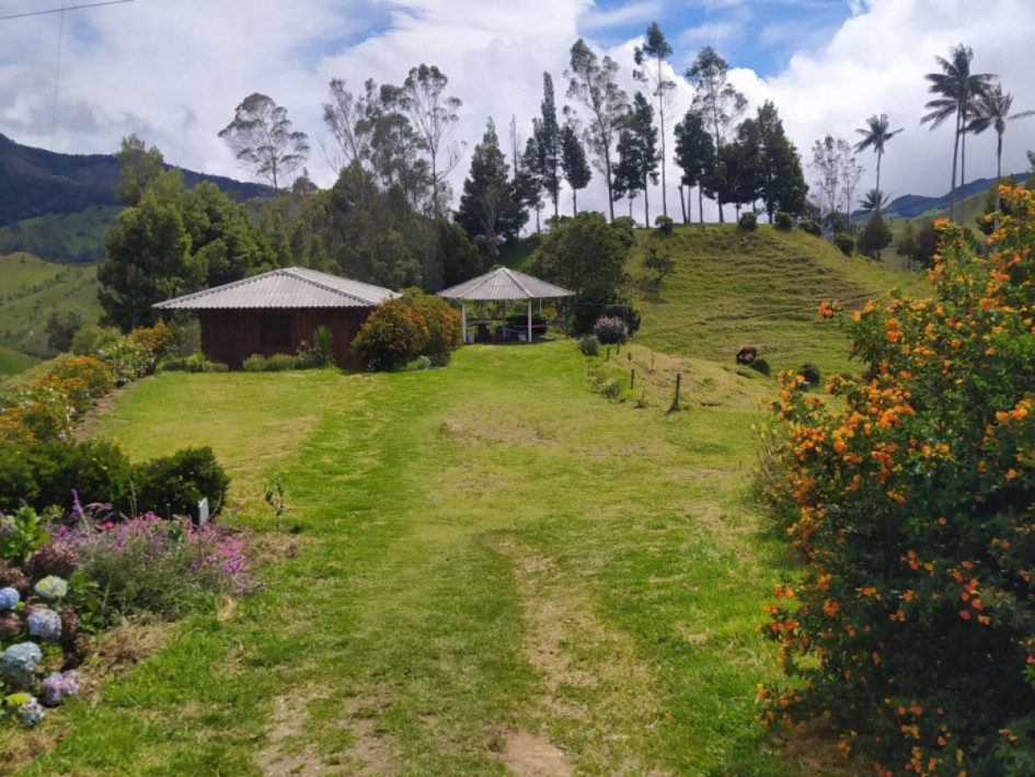 Caldas, un destino turístico apetecido: gremio reporta más ingresos, estos son los paisajes que lo impulsan