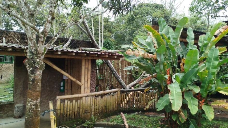 El bioparque Ukumarí estará cerrado hoy 5 de marzo debido a afectaciones en su interior provocadas por las lluvias que cayeron ayer 4 de marzo en Cerritos 