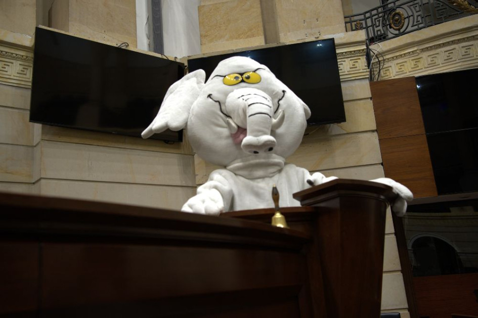 Luis Carlos Rúa, es la persona detrás del Elefante Blanco, el veedor ciudadano que logró una curul en el Senado con 121 mil votos por el partido Alianza Verde