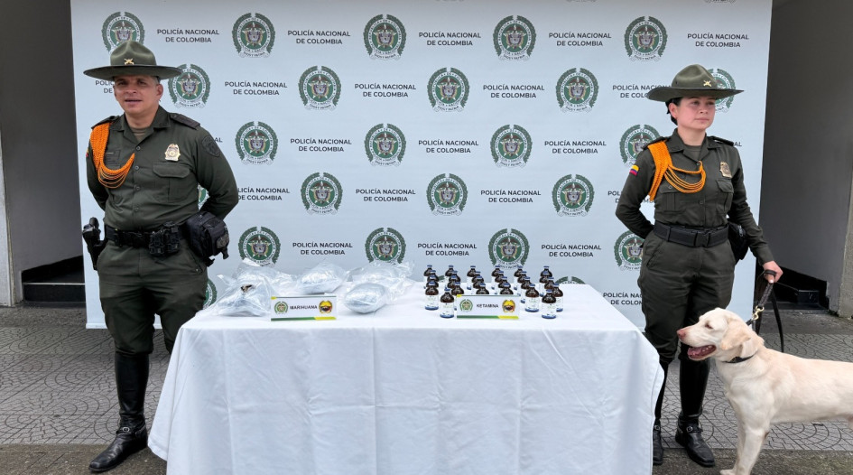 Los cargamentos hallados por Axel estaban en dos encomiendas enviadas desde Cali e Ipiales.