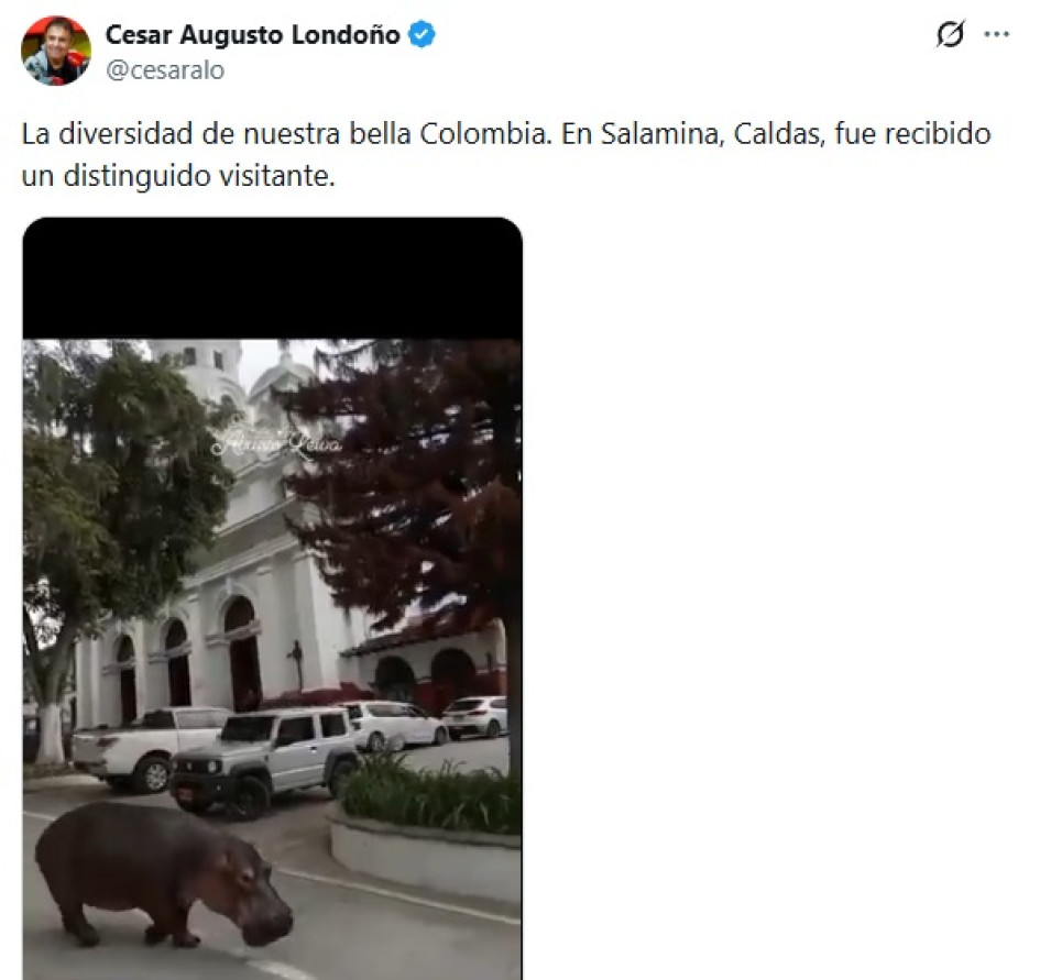 César Augusto Londoño cae con un hipopótamo Foto | Tomada de Twitter | LA PATRIA