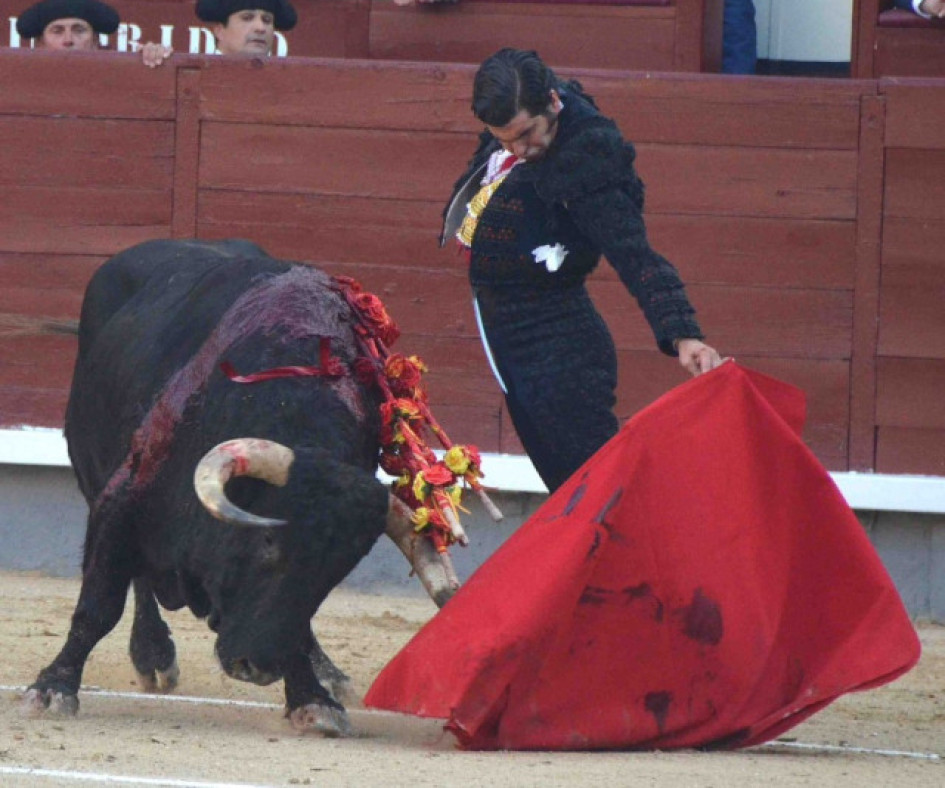 Morante de la Puebla, en su histórica actuación el domingo 8 de junio del 2025 en Las Ventas de Madrid. Fue la primera vez que salió a hombros en la más importante plaza del mundo taurino.