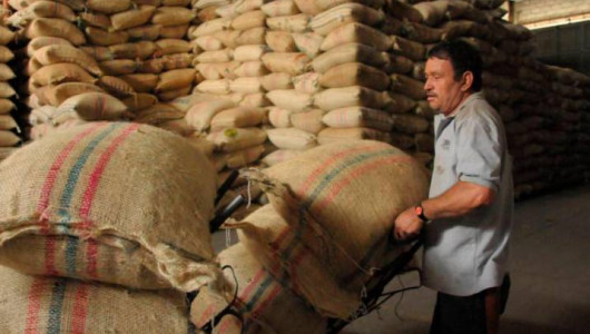 Cooperativas de caficultores en Caldas negocian un mejor futuro