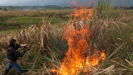 Las invasiones de tierras, un  problema viejo que se multiplica
