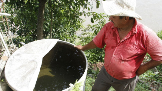 77 casos en La Dorada activan alerta contra el dengue en Caldas