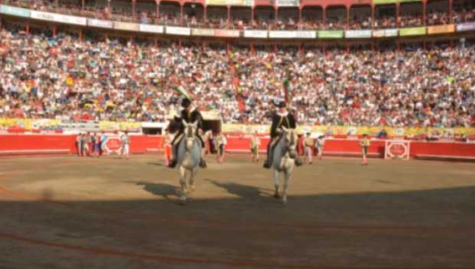 Concejo de Manizales pide a la Cámara archivar proyecto contra las corridas