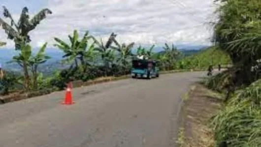 Triple absolución por homicidio en Risaralda (Caldas)