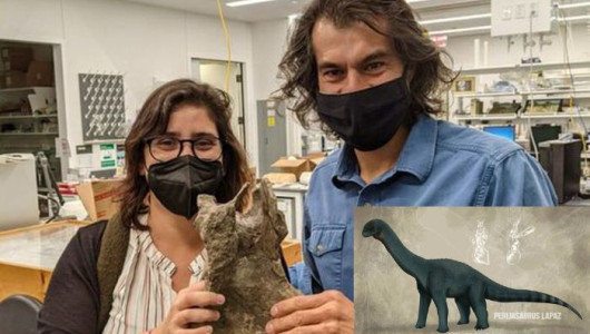 Estudiante de Caldas participa en hallazgo de dinosaurio