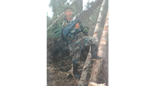 "Se sufrió, se ganó y se perdió, pero estoy vivo para contarlo": sobreviviente de las Farc