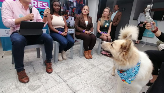 Mujeres dirigirán tres secretarías y un ente descentralizado en la Alcaldía de Manizales