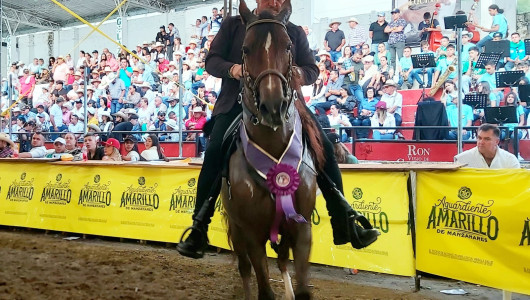 Neira celebró con éxito la Exposición Equina grado B