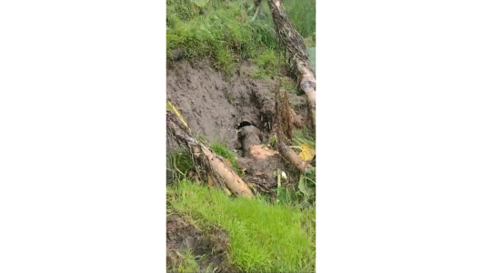 Sortean dificultades para reparar daño de tubería en Neira