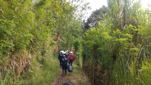 Resumen judicial de Caldas