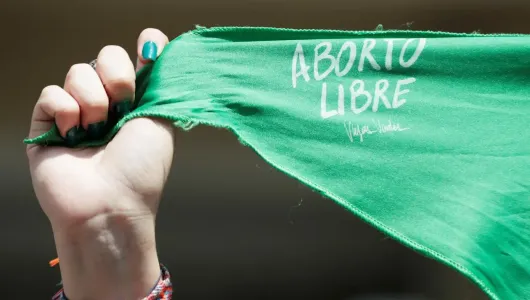 Gobierno nacional reglamenta las condiciones para acceder al aborto