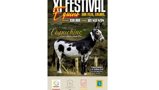 Cancelan Festival Equino en San Félix (Salamina) por problemas en las vías