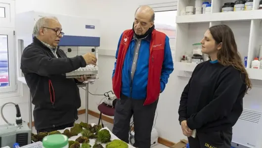 Álvaro Leyva llama desde Chile a fortalecer protección en Antártida