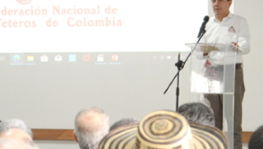 Precios del café se podrían mantener hasta el 2024