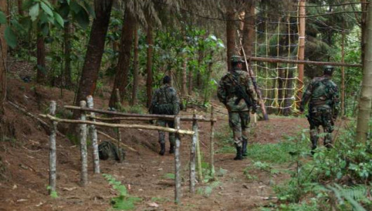 Estado debe indemnizar a familia desplazada por las Auc en Villamaría