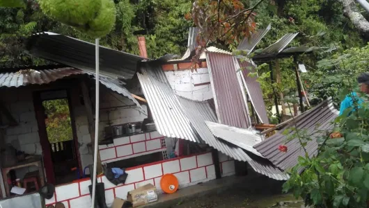 Una persona murió a causa de un rayo en Arboleda (Pensilvania)