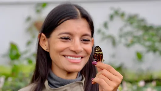 Un jardín de mariposas en el Ecoparque Los Yarumos de Manizales