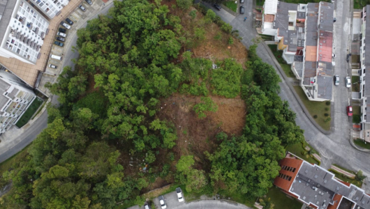 Camino de la Palma Real, sin acuerdo entre partes en audiencia de conciliación