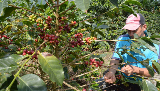 Inscriba su iniciativa social al Premio Cívico: tiene plazo hasta el 9 de junio