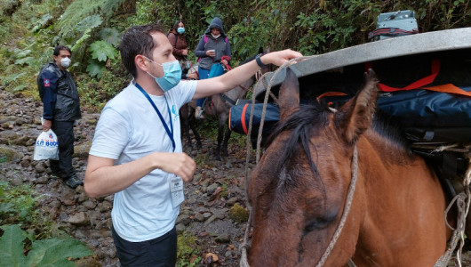 Telesalud prende motores para mayor acceso rural 