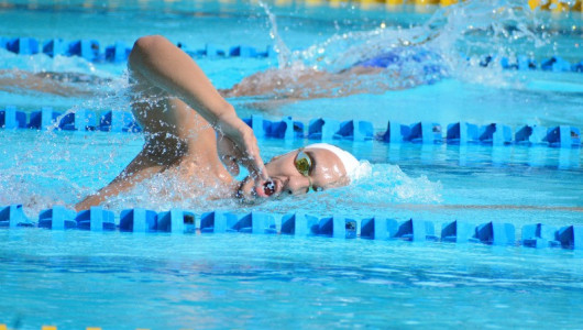 Polideportivo: este martes habrá conversatorio con los nadadores colombianos en Manizales