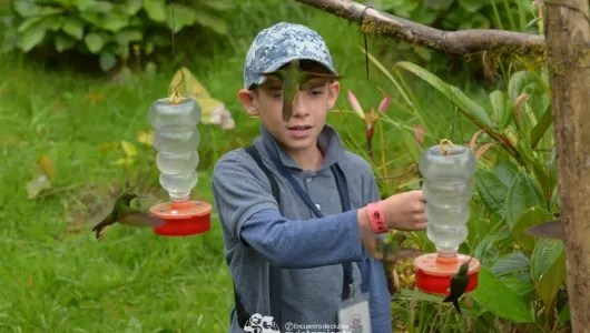 27 clubes de avistamiento de Caldas realizarán su tercer encuentro en Pensilvania