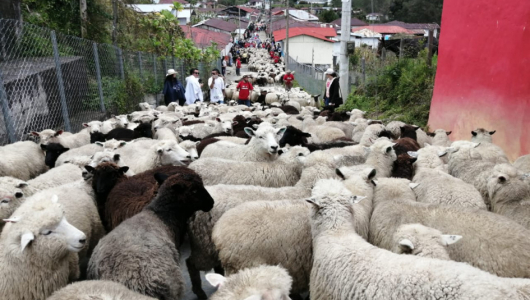 Conozca los candidatos a la Alcaldía de Marulanda (Caldas)