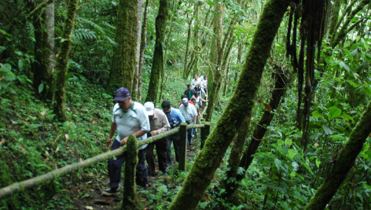 Manizales toma acción por el cambio climático