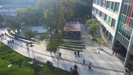 U. de Caldas y U. Nacional sede Manizales, con más plata para cobertura e innovación